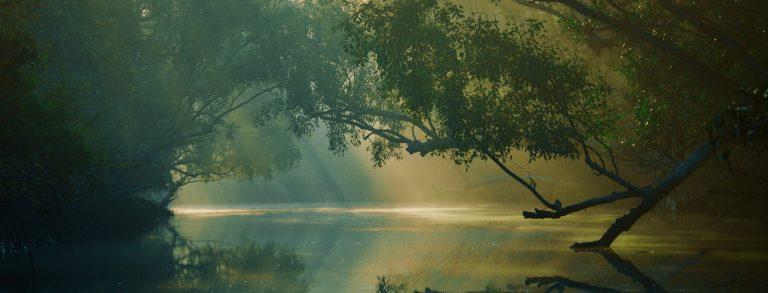 Sundarban tourism package