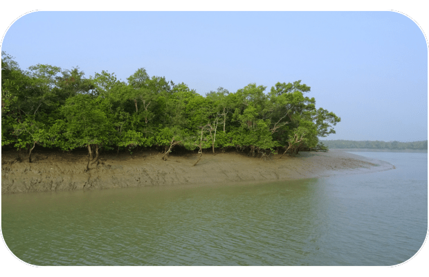 Sundarban package