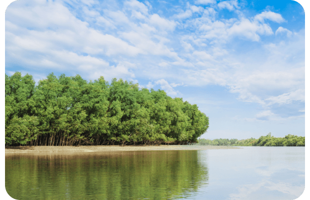 Sundarban tourism
